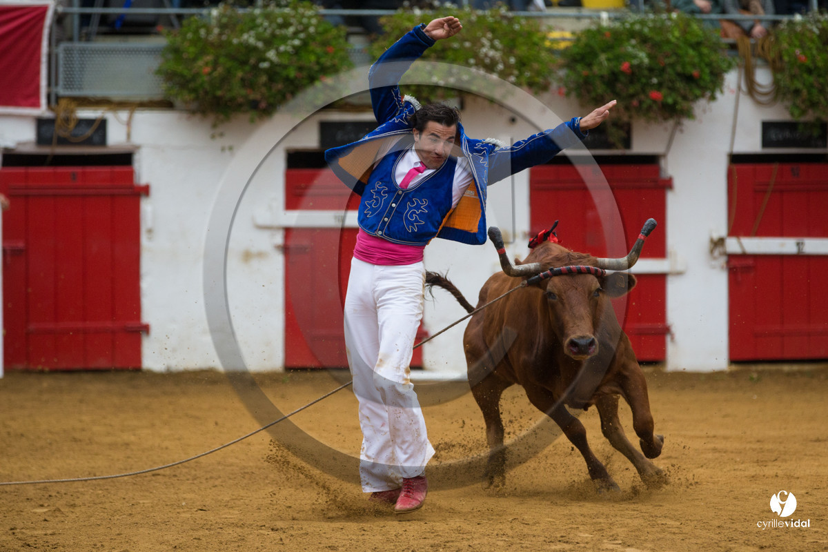 Nogaro Championnatde France de Course Landaise 2017