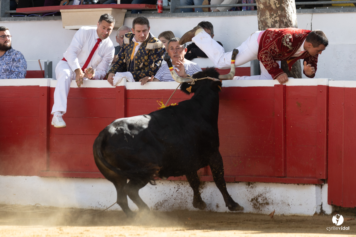 Nogaro Championnat de France de course landaise 2022