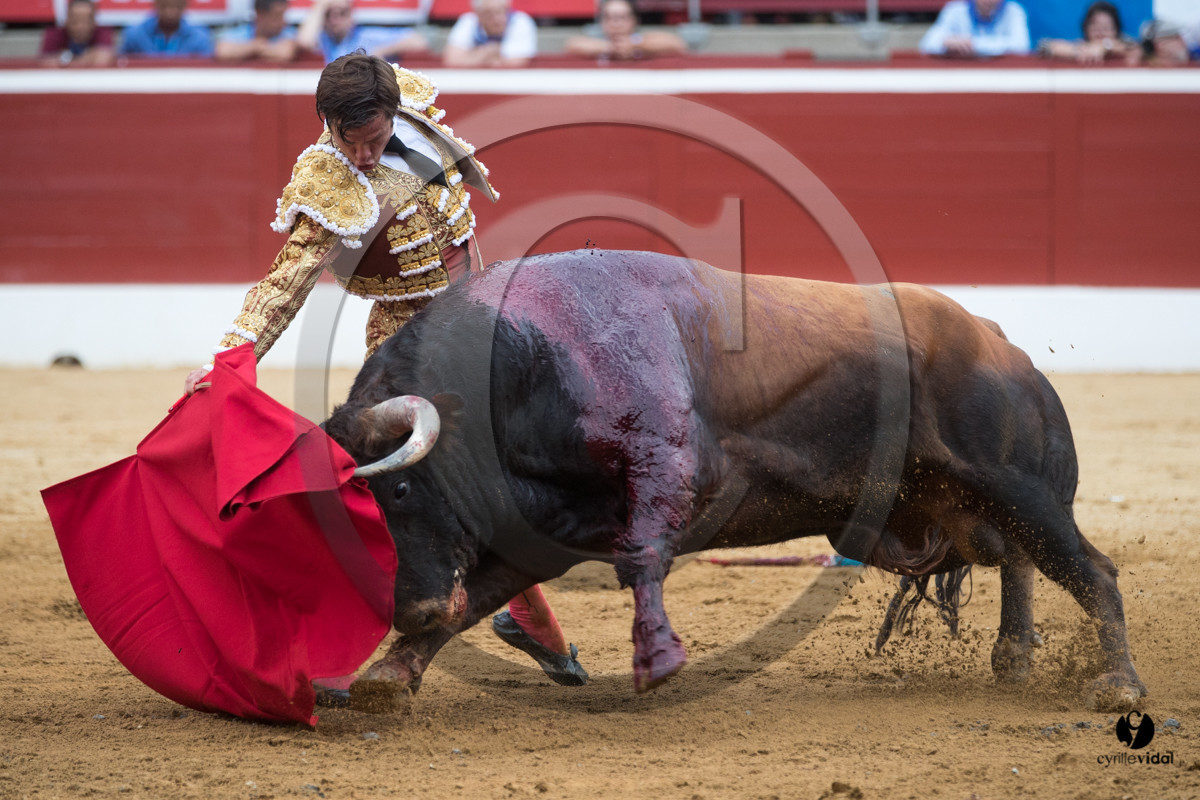 Mont-de-Marsan corrida de Garcigrande pour El Juli et Juan Bautista