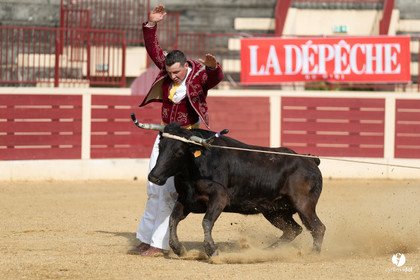 Course landaise Le Houga Ganadéria Dussau Cuadrilla Alexandre Brethes