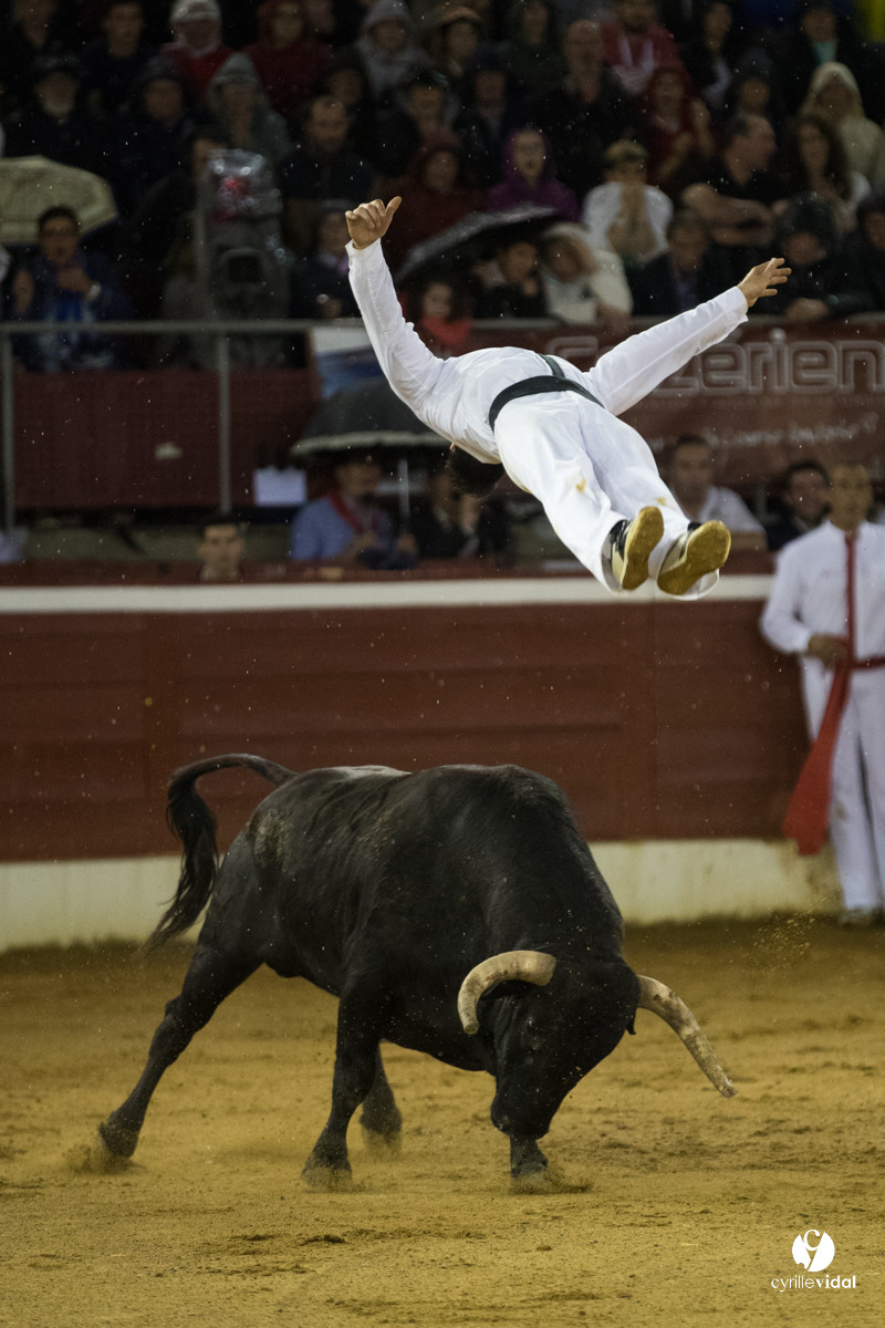 Mont-de-Marsan festival Art et Courage