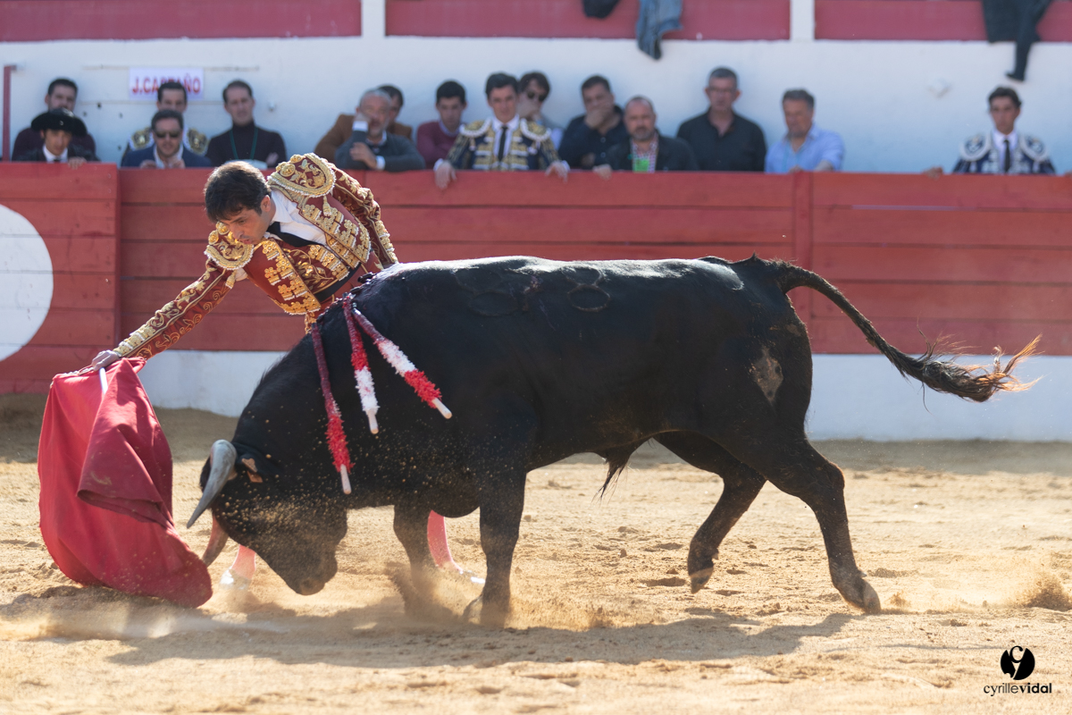Corrida Aignan
