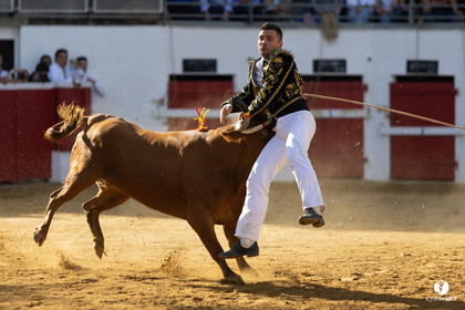 Nogaro Championnat de France de course landaise 2022