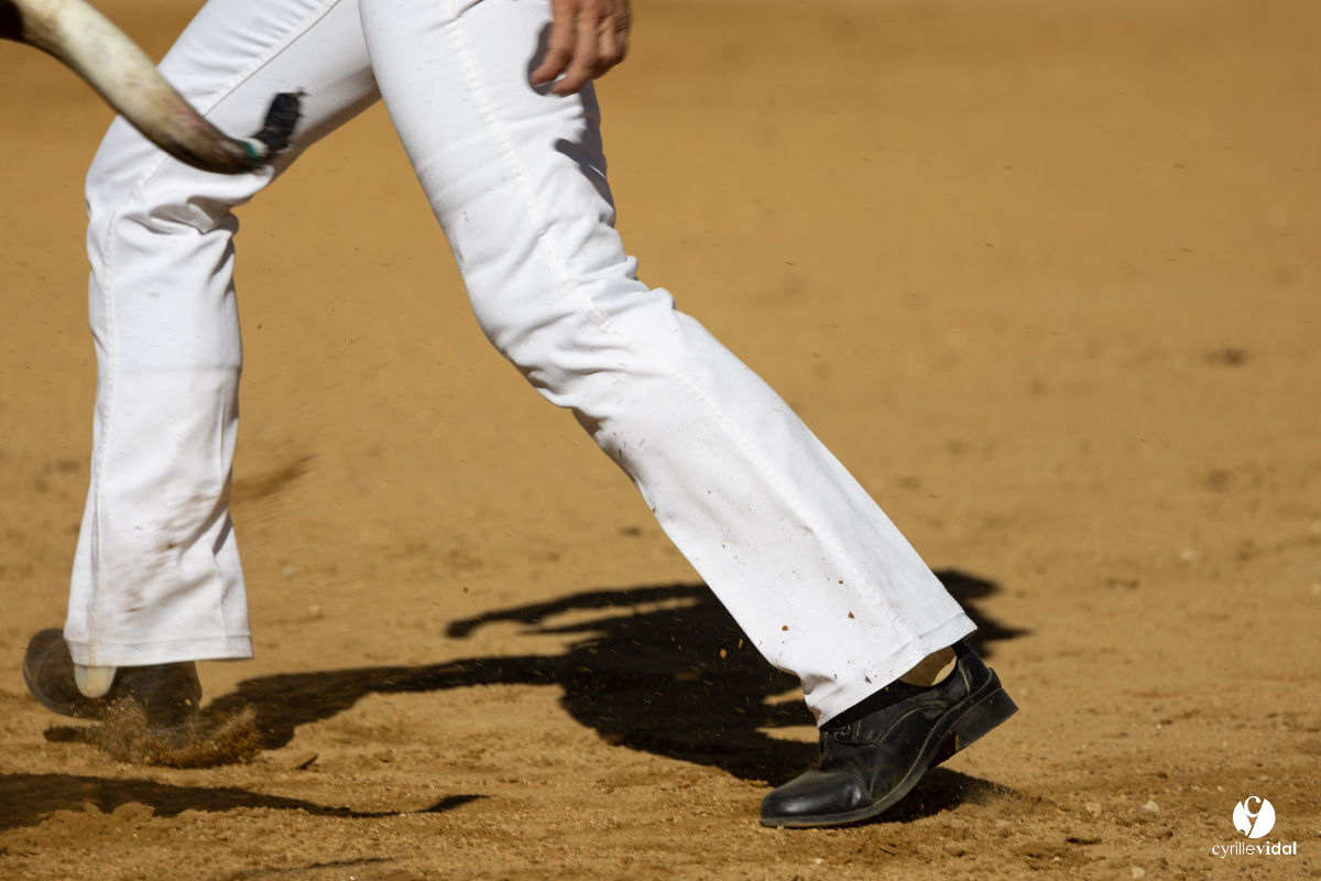 Nogaro Corne d'Or 2023