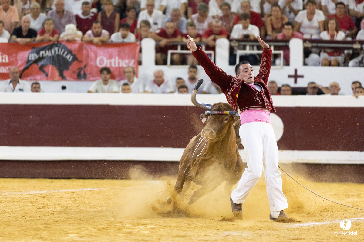 Dax concours landais 2022
