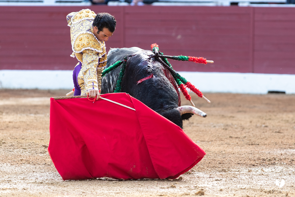 Corrida d'Aire sur l'Adour