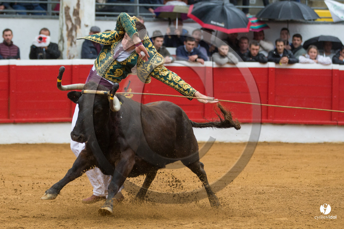Nogaro Championnatde France de Course Landaise 2017