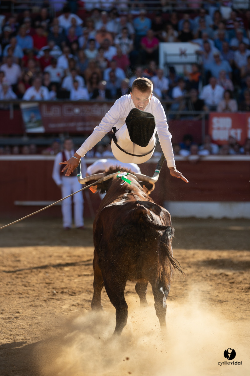 Mont-de-Marsan championnat de France de course landaise 2019