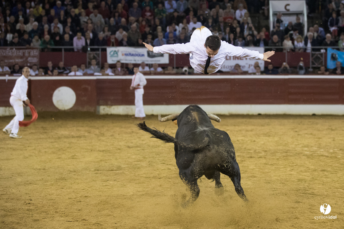 Mont-de-Marsan festival Art et Courage