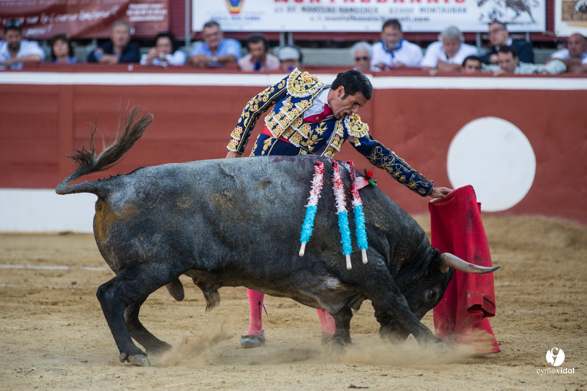 Mont-de-Marsan corrida d'Adolfo Martin