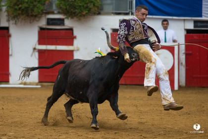 Nogaro Championnatde France de Course Landaise 2017