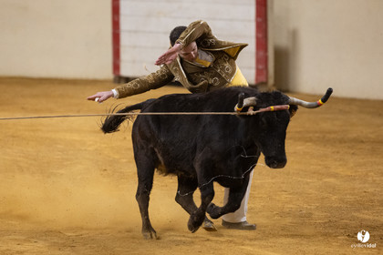 Horsarrieu course landaise du boléro d'Argent