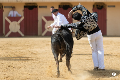 Course landaise Le Houga Ganadéria Dussau Cuadrilla Alexandre Brethes
