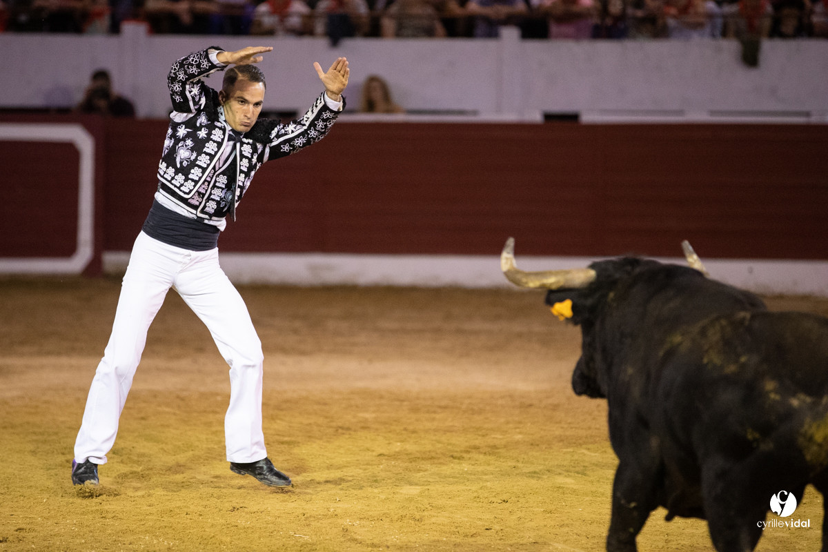 Landes émotions à Aire-sur-l'Adour