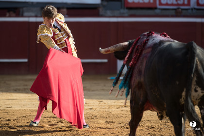 Mont-de-Marsan corrida de Dolores Aguirre pour Octavio Chacon - Pepe Moral - Juan Léal
