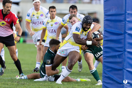 Stade Montois Rugby - Section Paloise