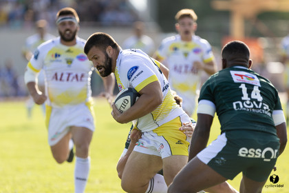 Stade Montois Rugby - Section Paloise