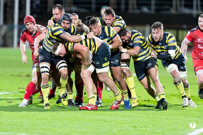 Stade Montois Rugby - Oyonnax