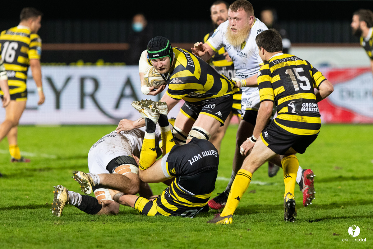 Stade Montois Rugby - Carcassonne