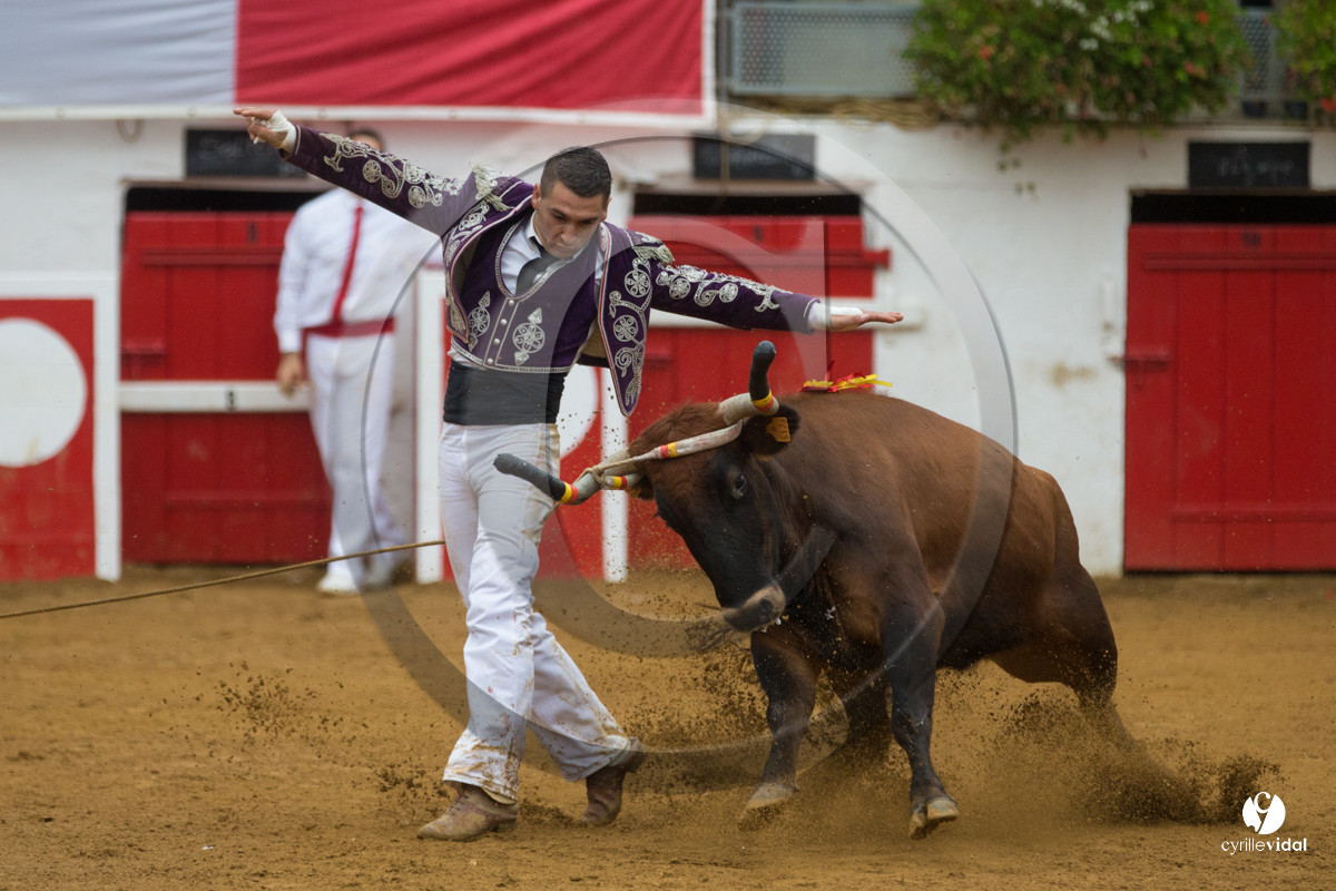 Nogaro Championnatde France de Course Landaise 2017