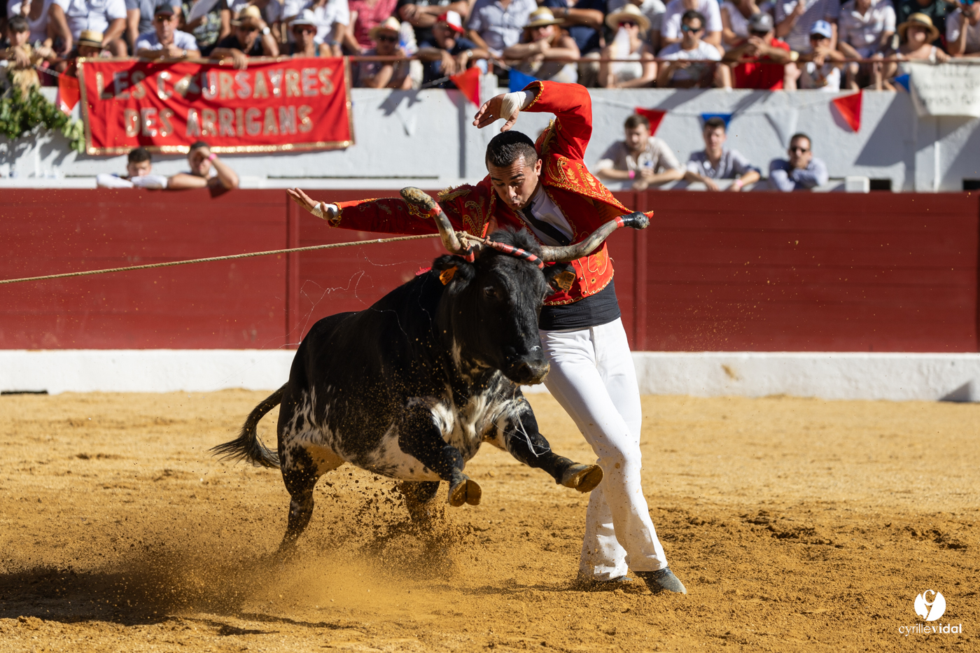 Aire-sur-l'Adour Championnat de France de course landaise 2023