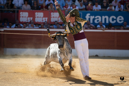 Mont-de-Marsan championnat de France de course landaise 2019