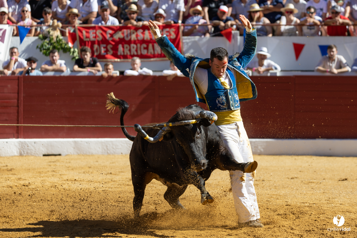 Aire-sur-l'Adour Championnat de France de course landaise 2023