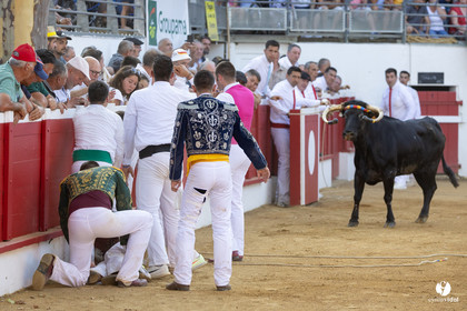 Nogaro Corne d'Or 2023