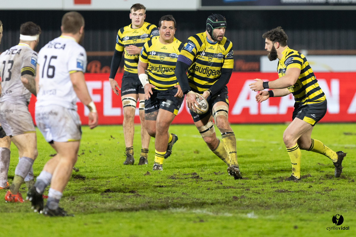 Stade Montois Rugby - Carcassonne