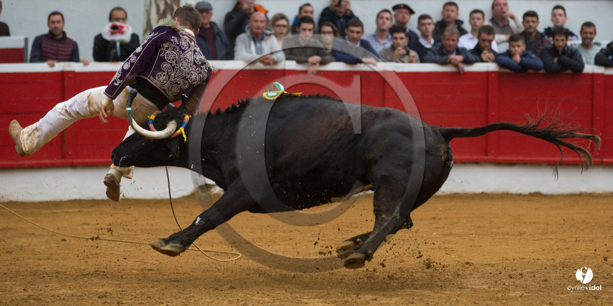 Nogaro Championnatde France de Course Landaise 2017