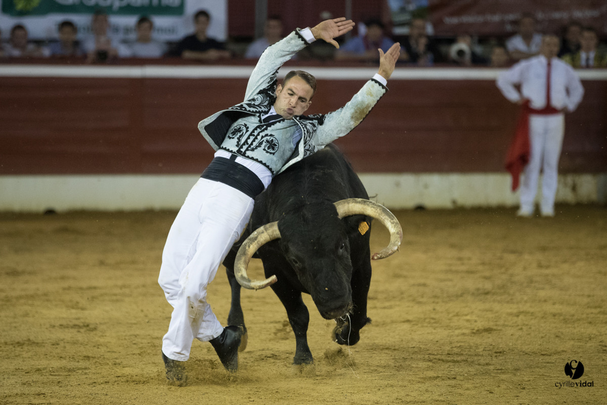 Mont-de-Marsan festival Art et Courage