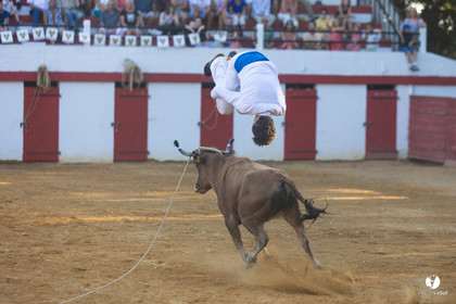 Course landaise à Panjas