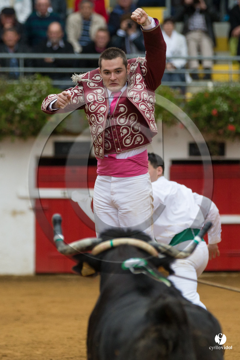 Nogaro Championnatde France de Course Landaise 2017
