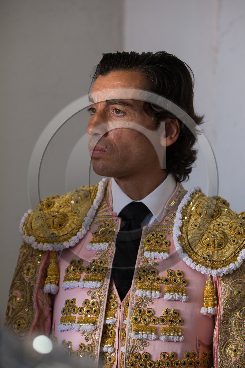 corrida, toro, vic fezensac, alcurrucen, michelito, morenito de aranda