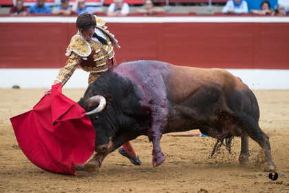 Mont-de-Marsan corrida de Garcigrande pour El Juli et Juan Bautista