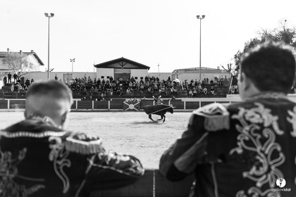 Course landaise Le Houga Ganadéria Dussau Cuadrilla Alexandre Brethes