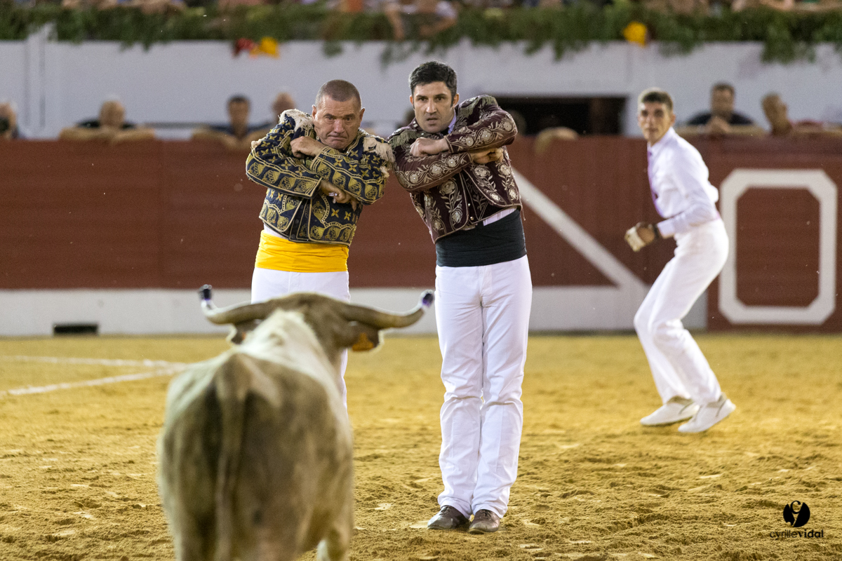 Aire sur l'Adour course landaise génération Aturine