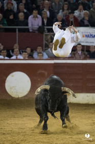 Mont-de-Marsan festival Art et Courage