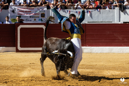 Aire-sur-l'Adour Championnat de France de course landaise 2023