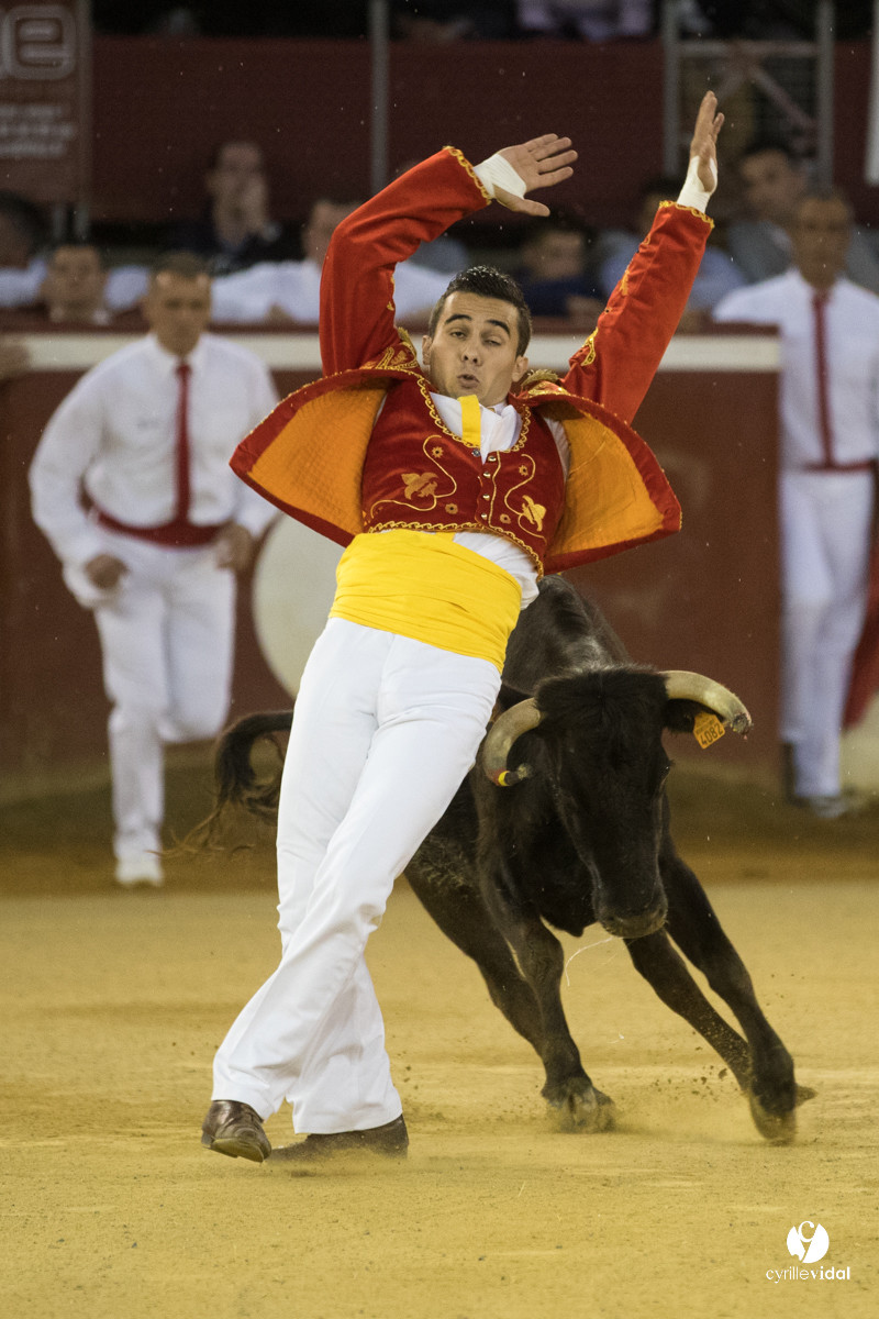 Mont-de-Marsan festival Art et Courage