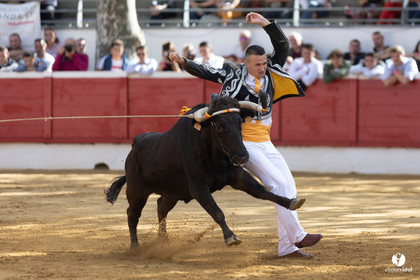 Nogaro Championnat de France de course landaise 2022