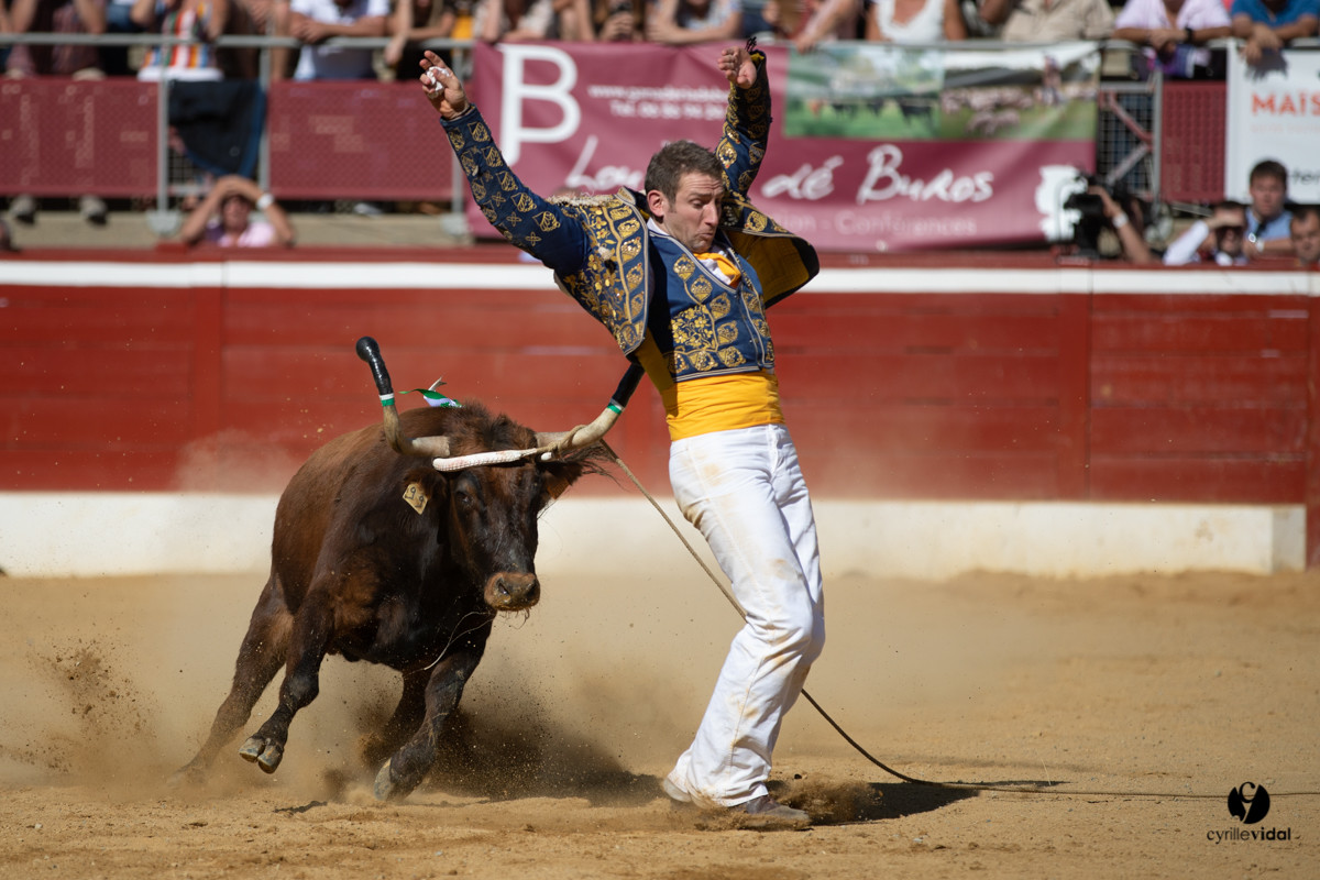 Mont-de-Marsan championnat de France de course landaise 2019