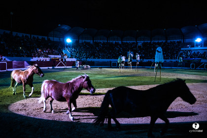 Landes émotions à Aire-sur-l'Adour