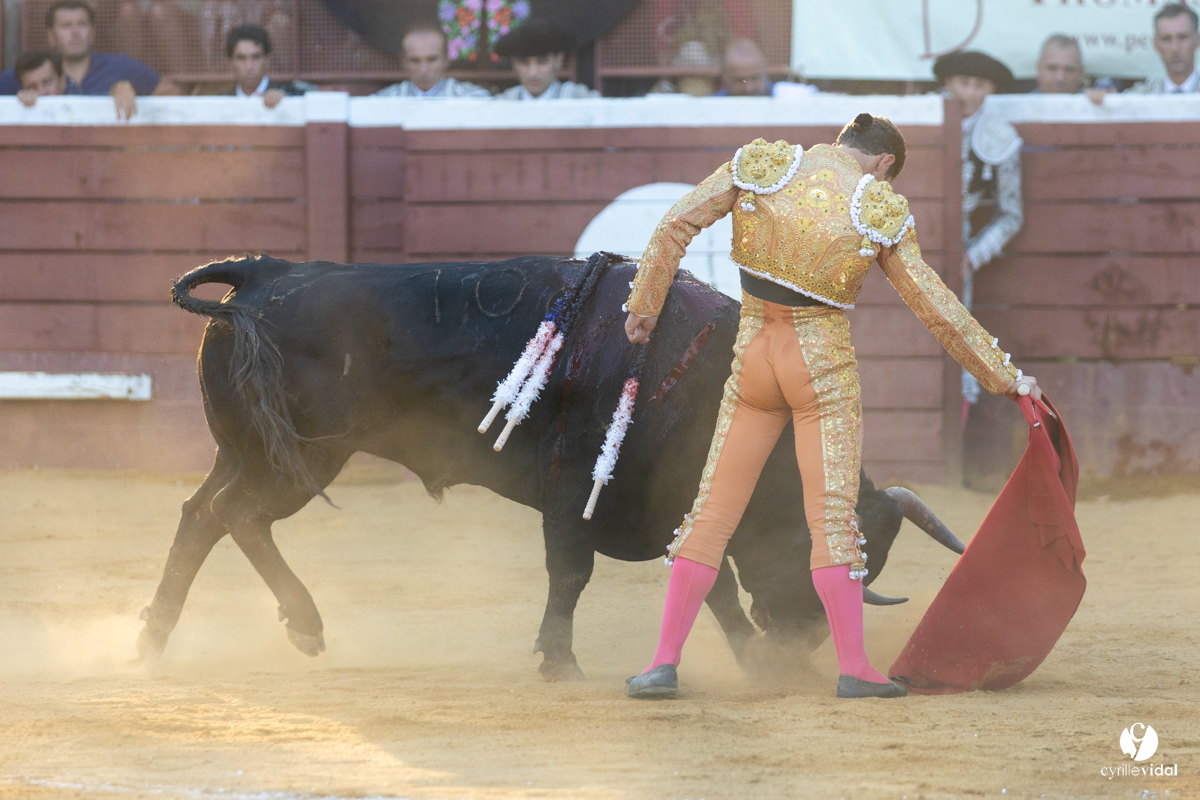 Corrida de Villeneuve-de-Marsan