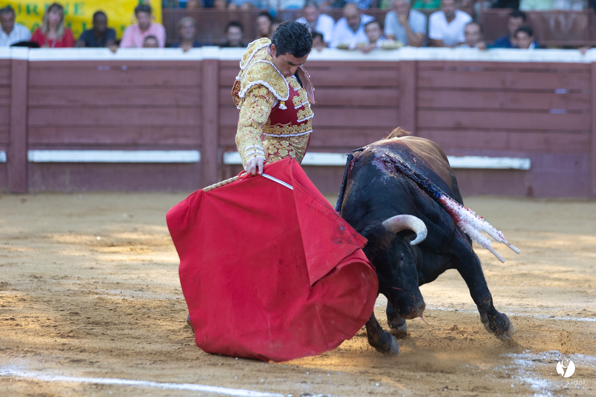 Corrida de Villeneuve-de-Marsan