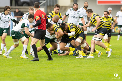 Stade Montois Rugby - Montauban