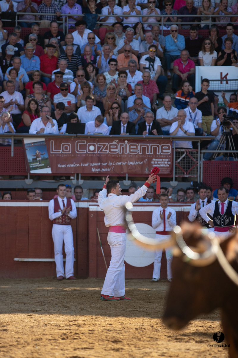Mont-de-Marsan championnat de France de course landaise 2019