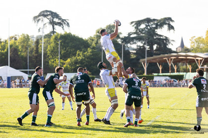 Stade Montois Rugby - Section Paloise