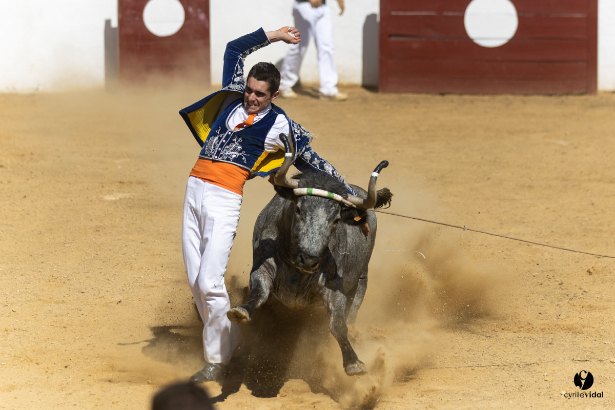 Saint-Cricq Chalosse course landaise de promotion Ganadéria Deyris Cuadrilla Jérémy Lafitte
