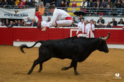 Nogaro Championnatde France de Course Landaise 2017